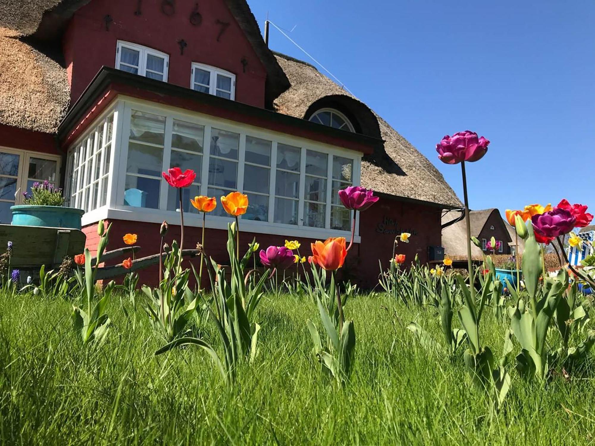 Hues Sanskiin Ferienwohnung *Aawerkant* Suddorf Zewnętrze zdjęcie